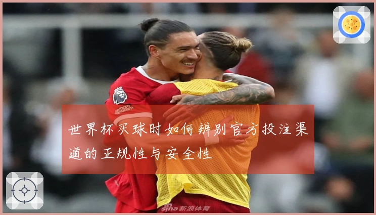 世界杯买球时如何辨别官方投注渠道的正规性与安全性