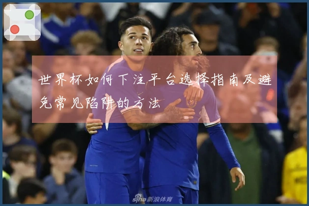 世界杯如何下注平台选择指南及避免常见陷阱的方法